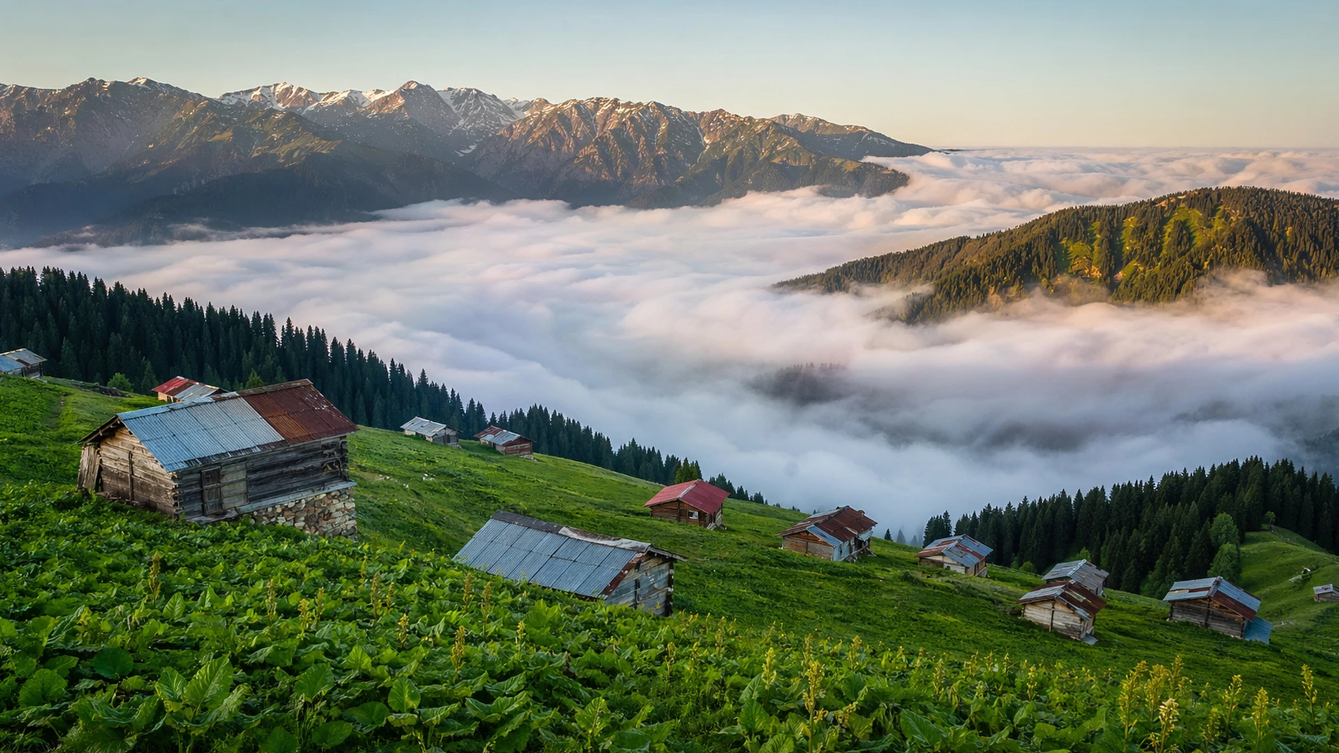 {"1":"resimler/başlıksız-1-2-1920w.webp","2":"resimler/başlıksız-1-2-480w.webp","3":"resimler/başlıksız-1-2-320w.w